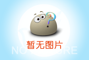 双鸽环链电动葫芦的介绍